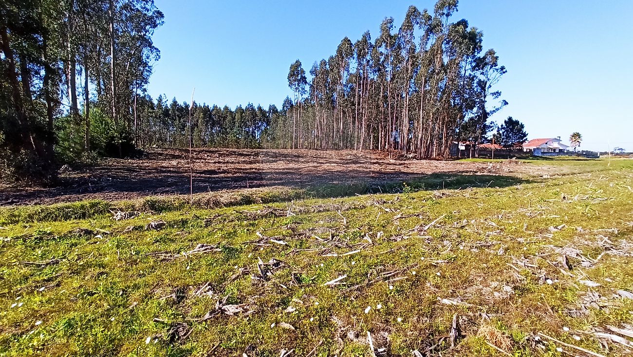 Terreno  para venda