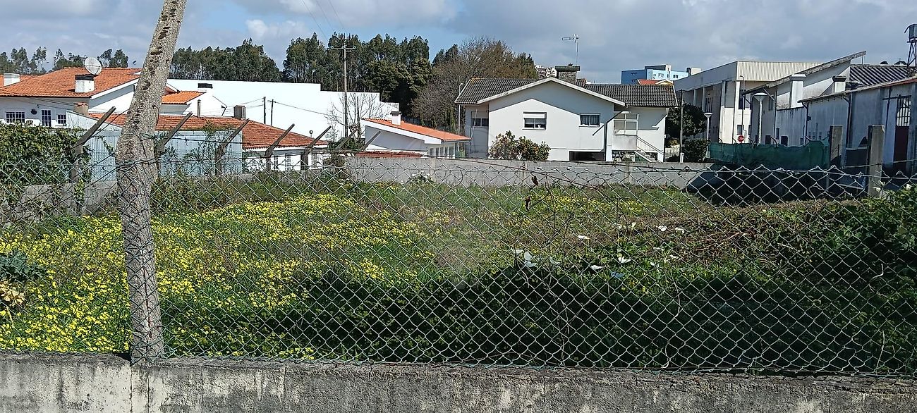 Terreno - Paços de Brandão, Santa Maria da Feira, Aveiro