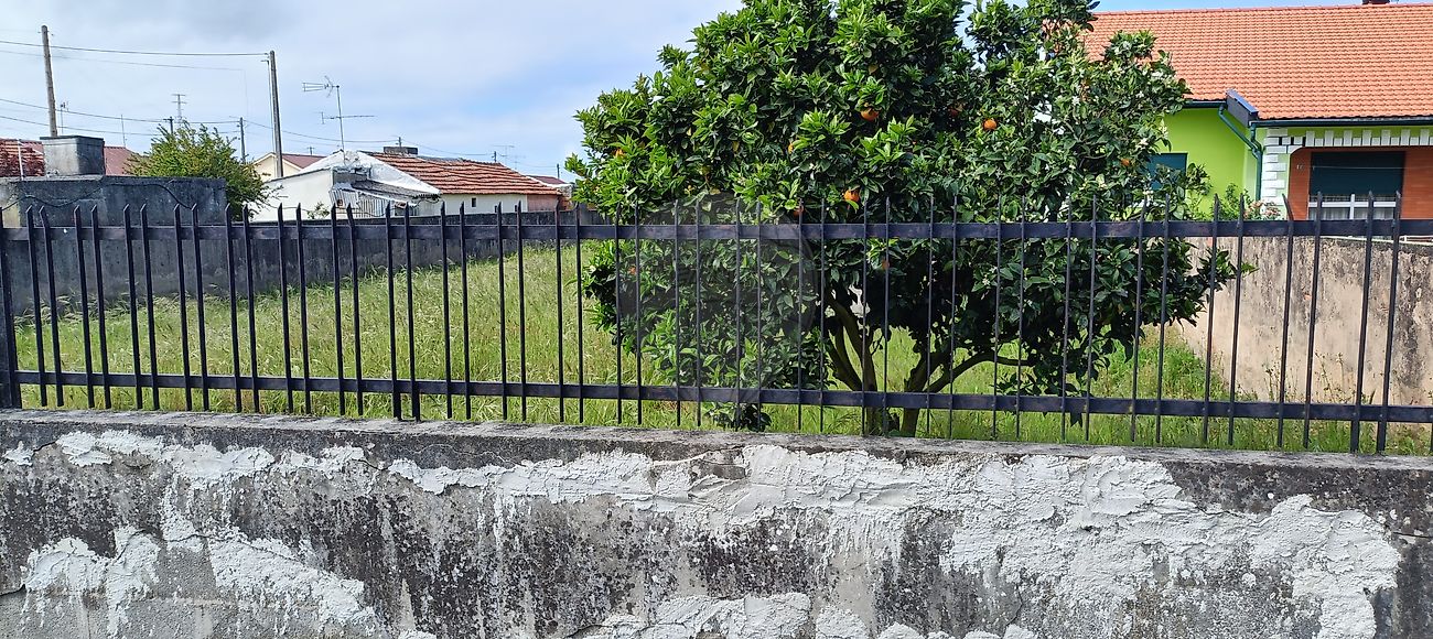 Terreno - Ovar, São João, Arada e São Vicente de Pereira Jusã, Ovar, Aveiro