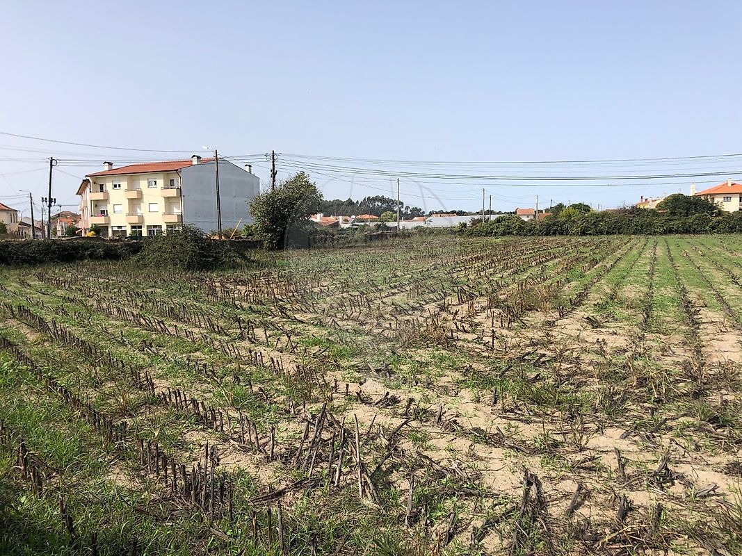 Terreno - Ovar, São João, Arada e São Vicente de Pereira Jusã, Ovar, Aveiro