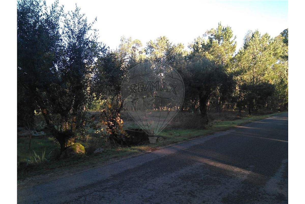 Terreno à venda em Roussa