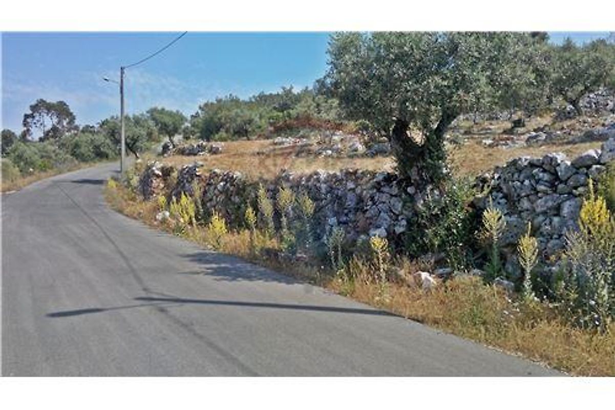 Land for sale in Pombal, Portugal — €80,000