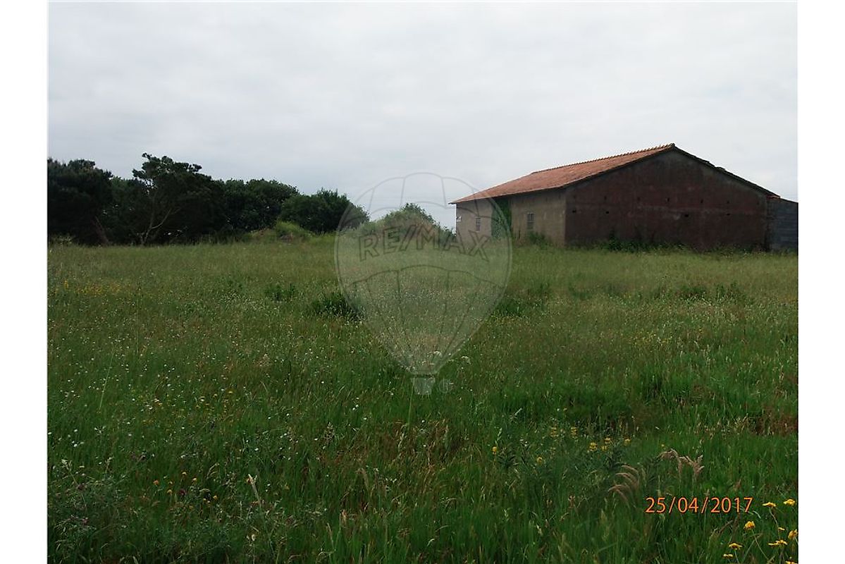 Terreno  à venda em Carvide