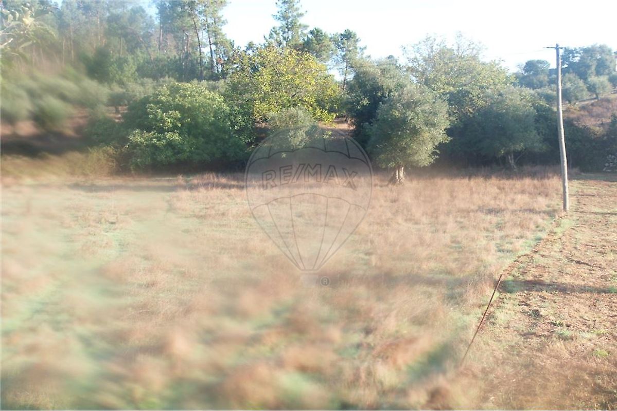 Terreno  à venda em Ansião