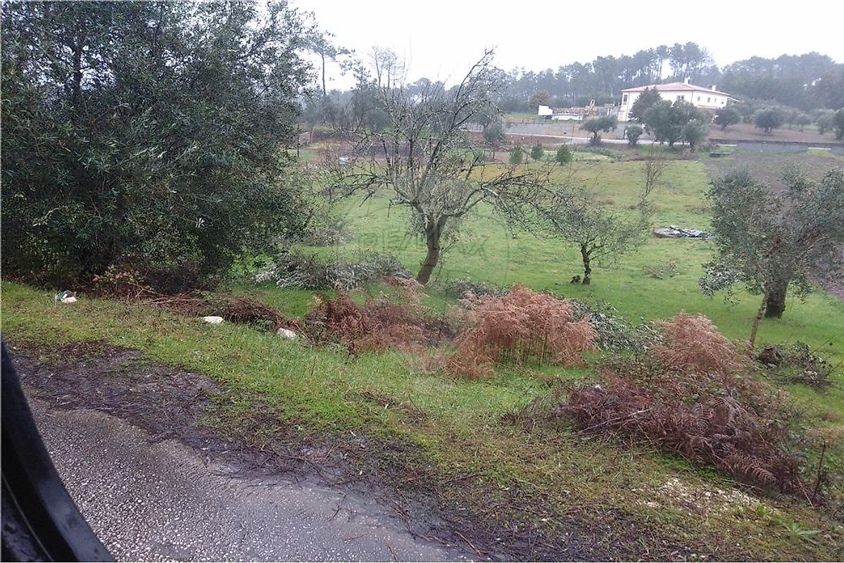Terreno  à venda em Ansião