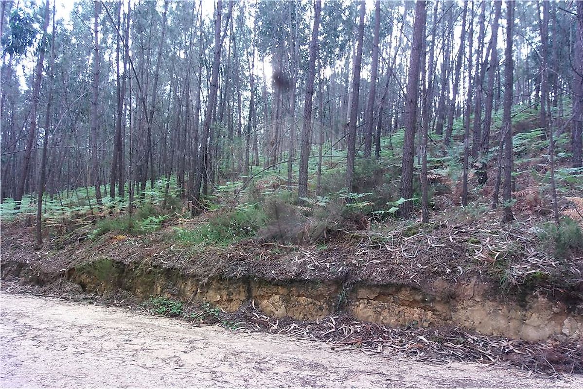 Terreno  à venda em Ansião
