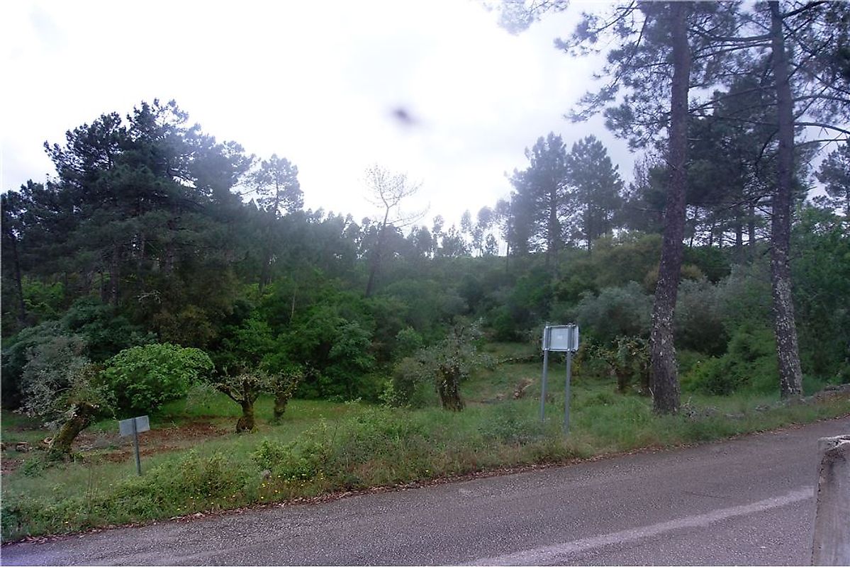 Terreno  à venda em Ansião