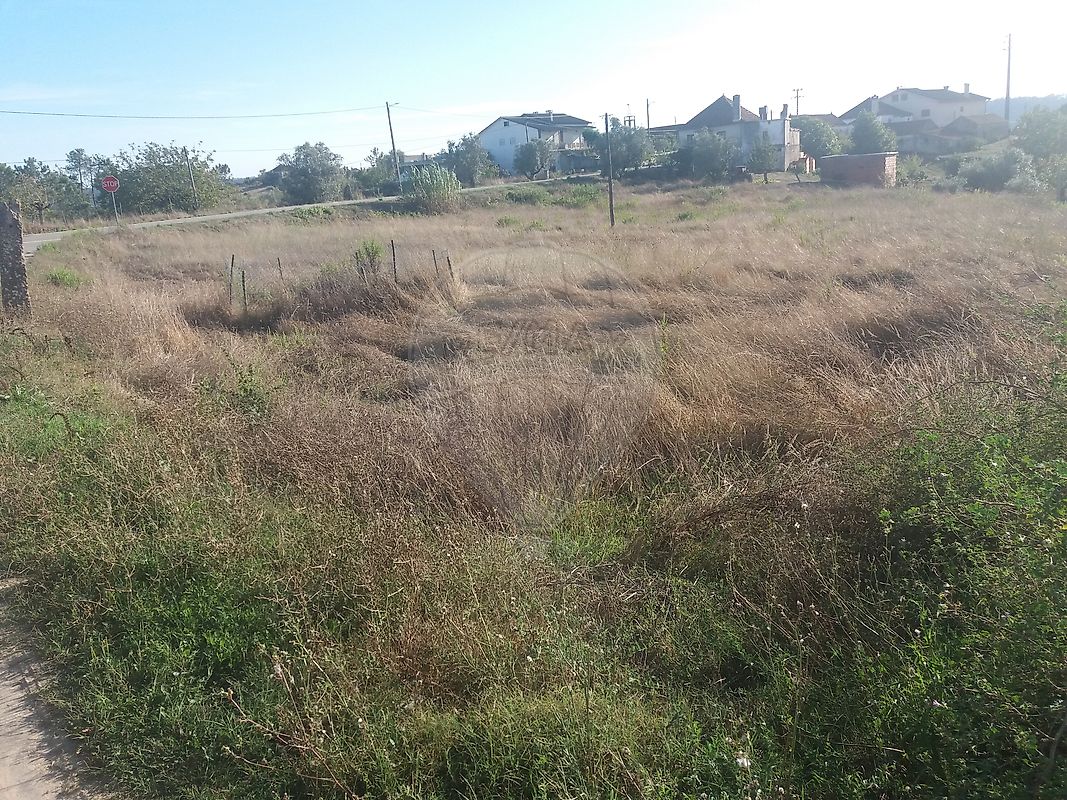 Land for sale in Pombal, Portugal — €57,500