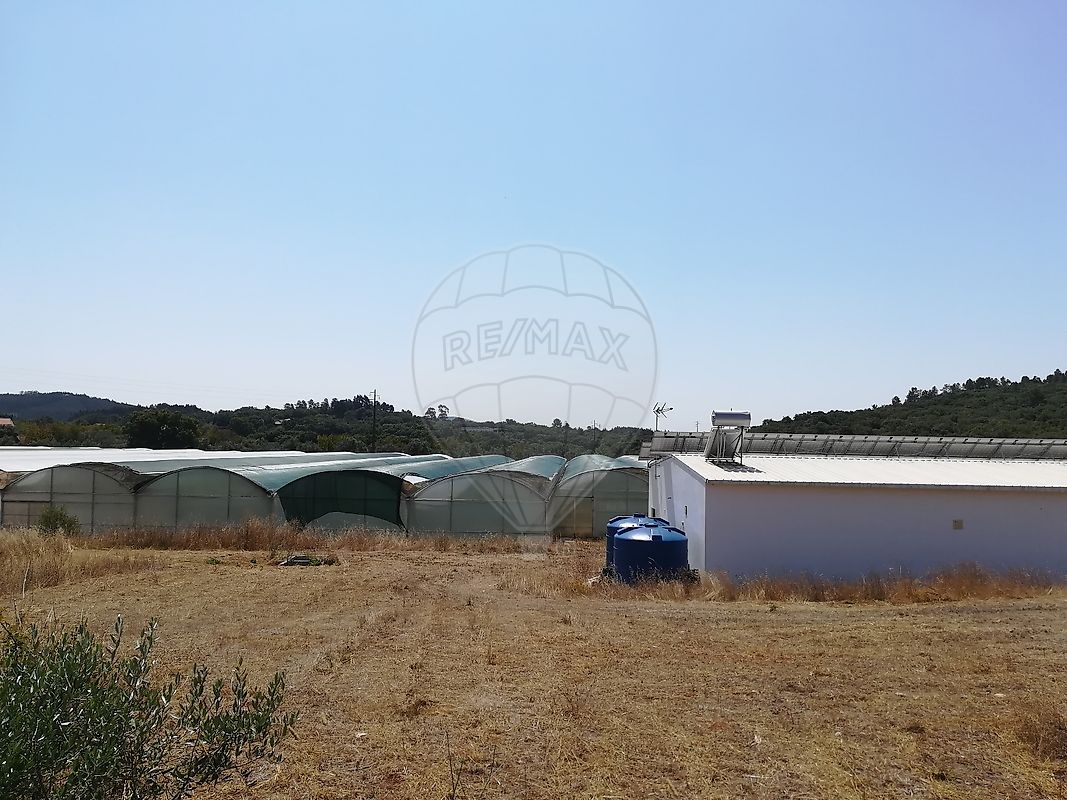 Terreno em Alvaiázere