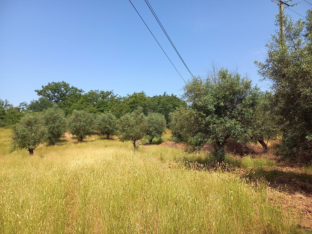 Terreno à venda em Ferreira do Zêzere