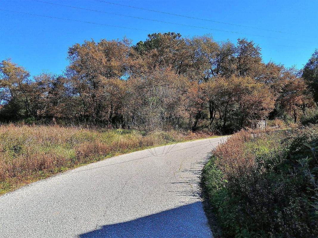 Land for sale in Pombal, Portugal — €70,000