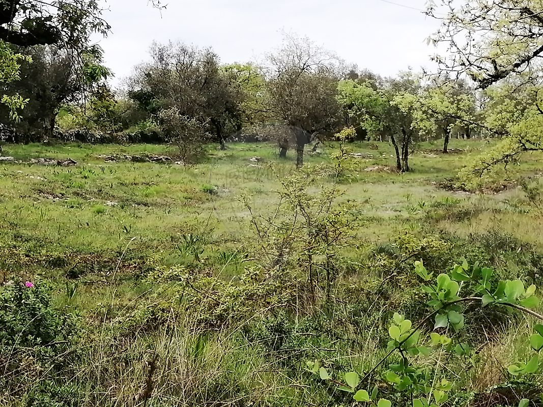 Terreno à venda em Penela