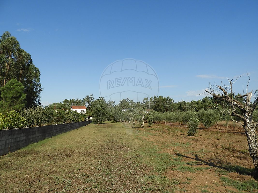 Terreno à venda em Pombal