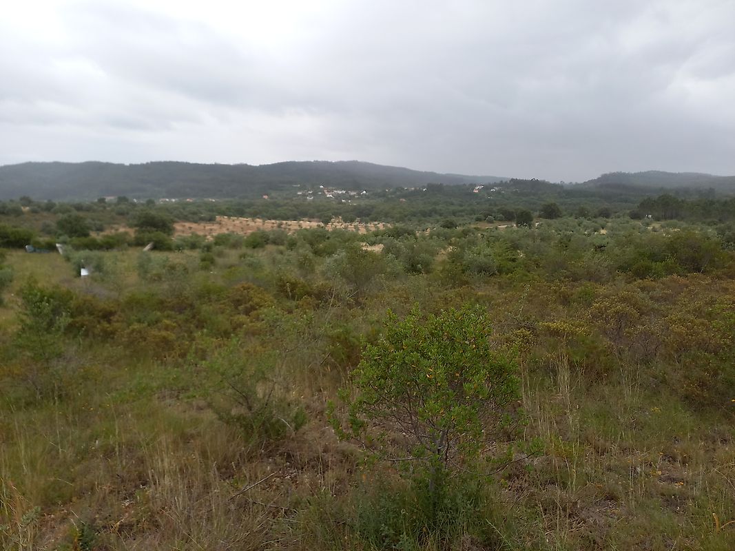 Terreno à venda em Alvaiázere