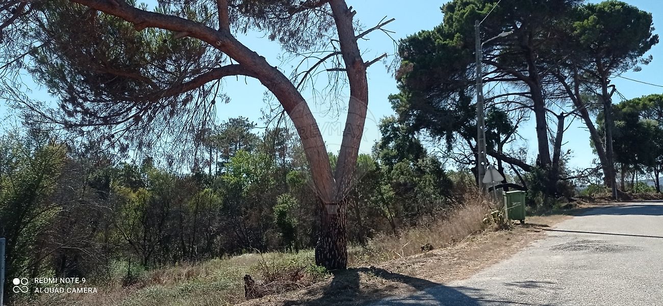 Terreno  à venda em Ansião