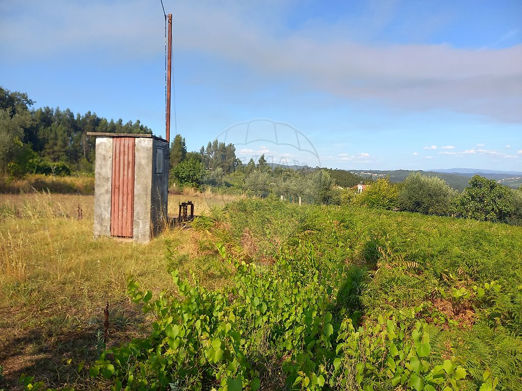 Terreno - Alvaiázere, Alvaiázere, Leiria