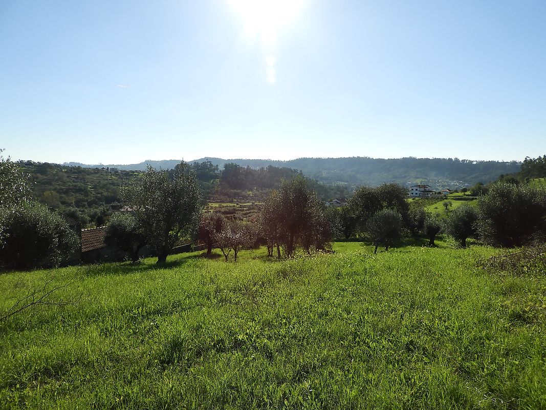 Land for sale in Pombal, Portugal — €55,000