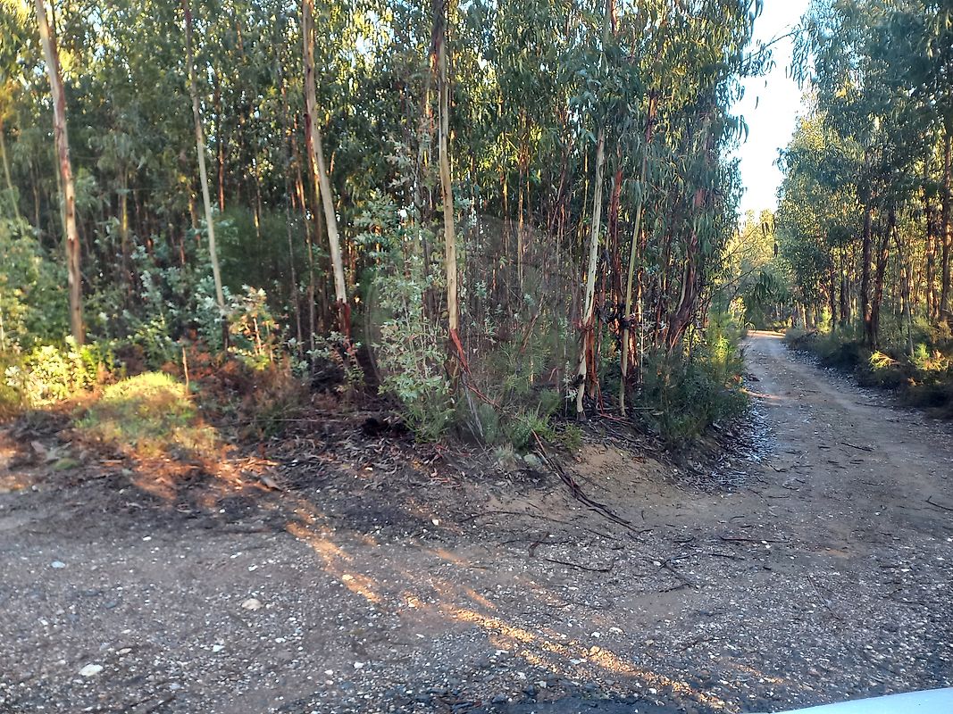 Terreno à venda em Sertã
