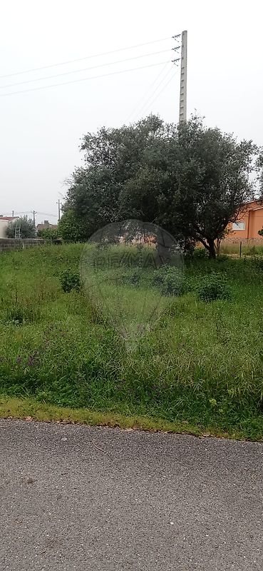 Land for sale in Pombal, Portugal — €91,150