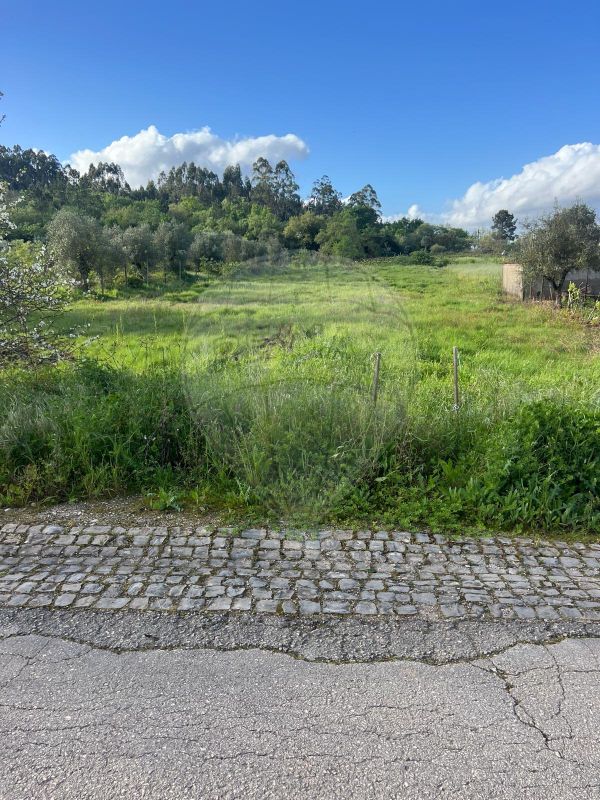 Terreno  para venda