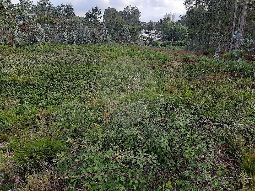Land for sale in Pombal, Portugal — €240,000