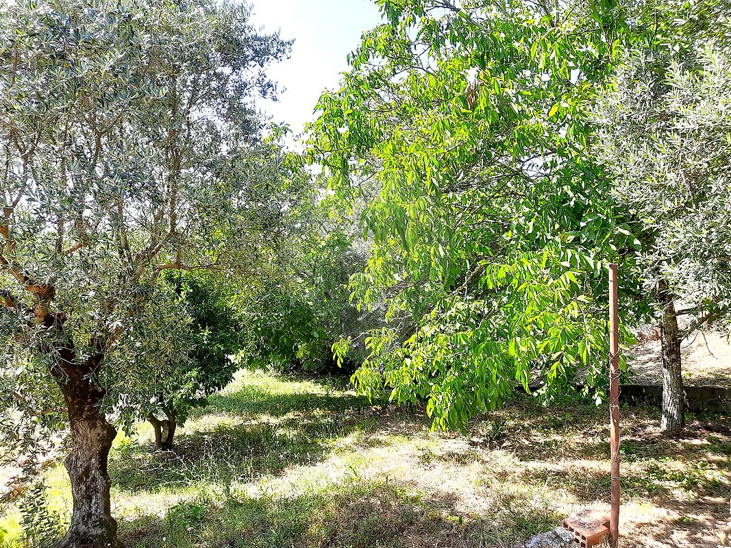 Moradia T2 à venda em Redinha, Pombal — foto 12