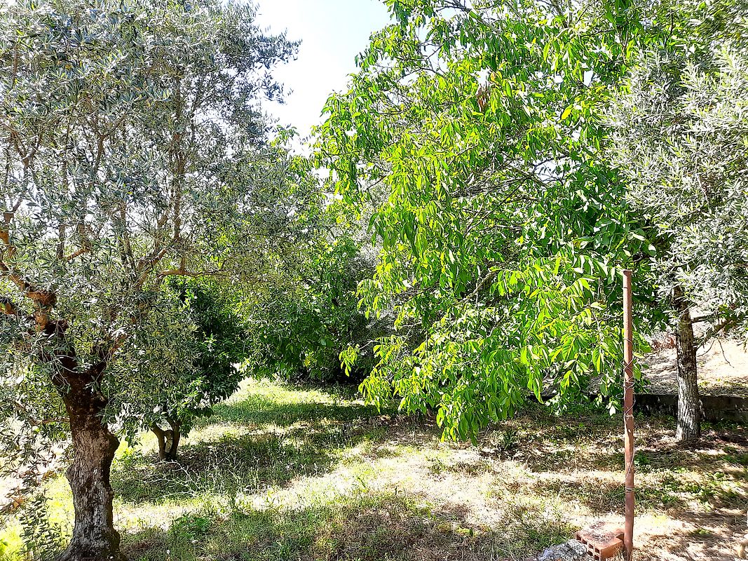 Moradia T2 à venda em Redinha, Pombal — foto 23