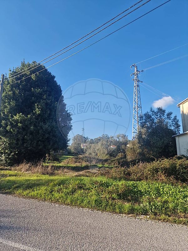 Terreno - Santiago e São Simão de Litém e Albergaria dos Doze, Pombal, Leiria