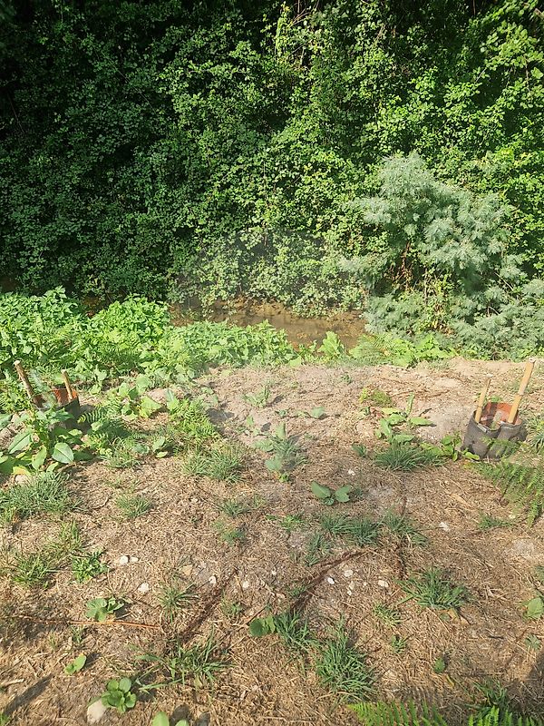Terreno para venda