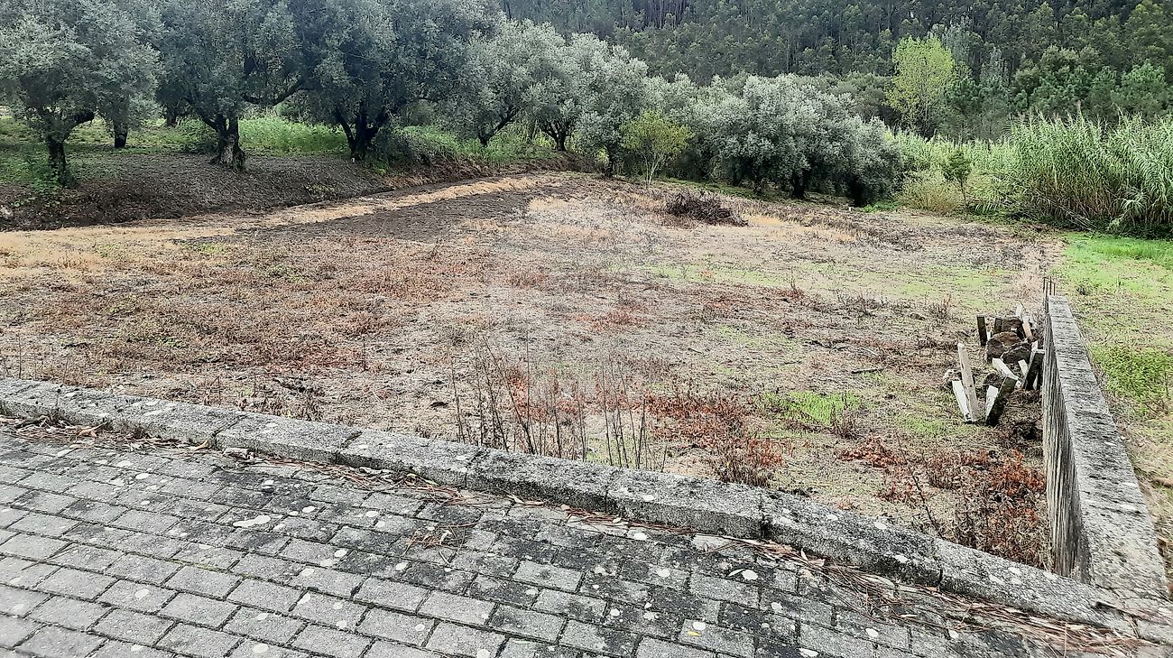 Terreno para venda