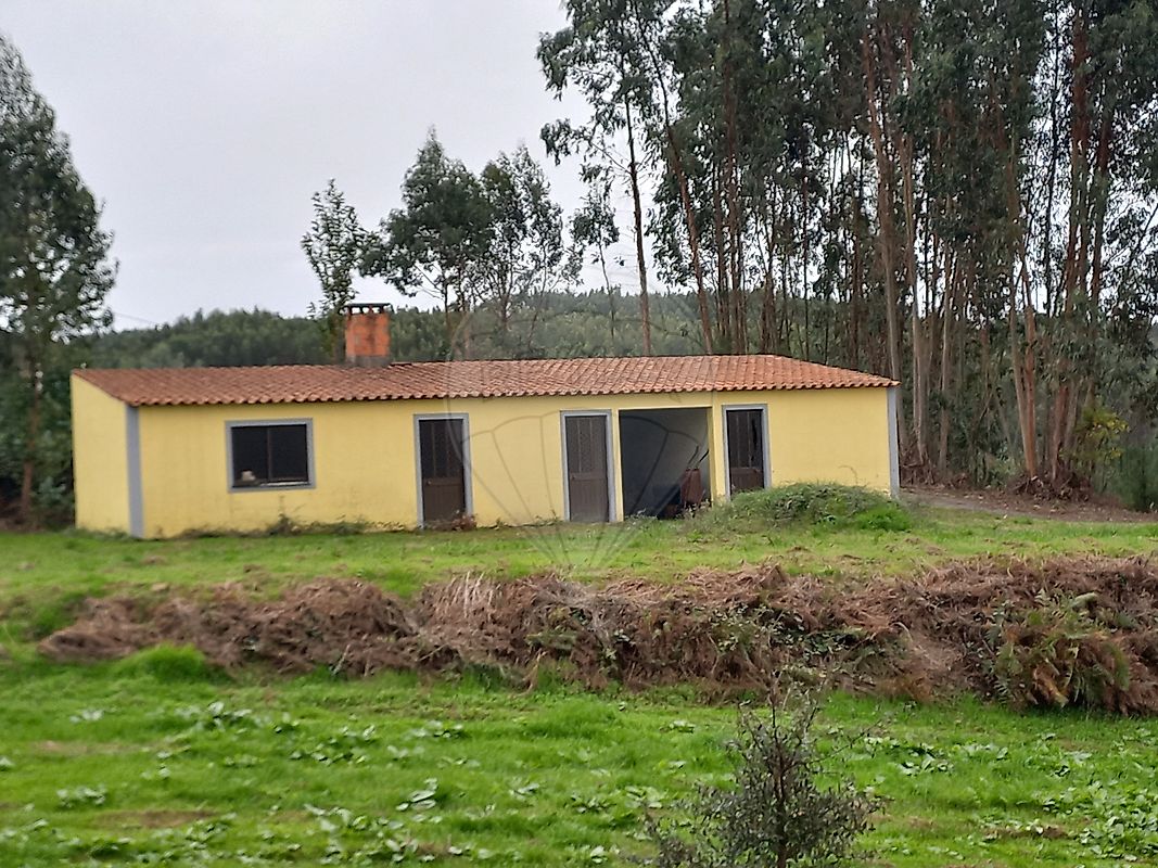 Moradia - Castelo, Sertã, Castelo Branco