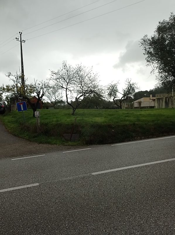 Terreno - Santiago e São Simão de Litém e Albergaria dos Doze, Pombal, Leiria