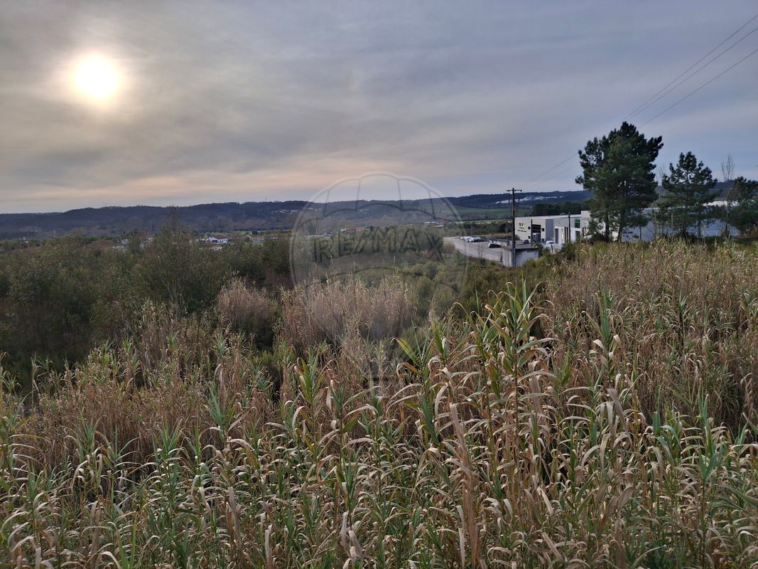 listing 122591124-205 picture-0