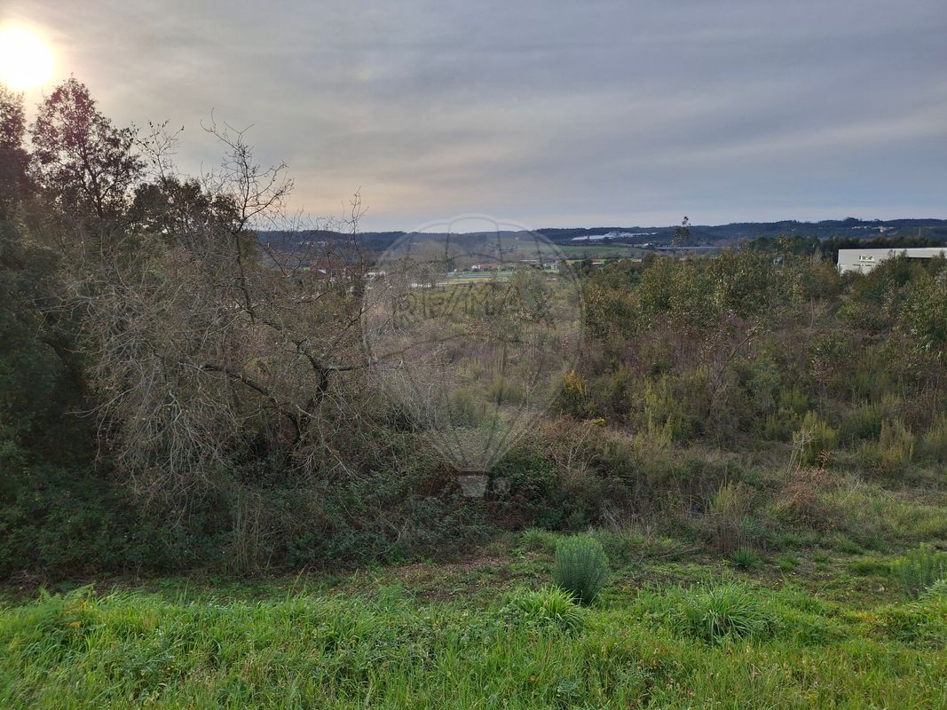 listing 122591124-205 picture-0