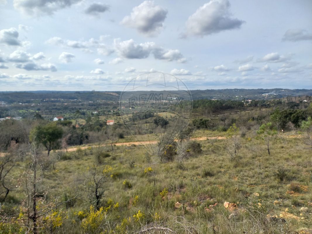 Terreno para venda