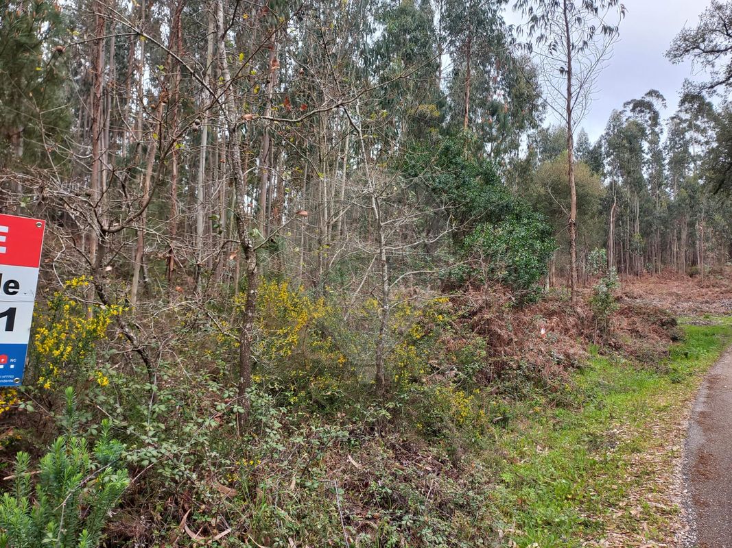 Terreno para venda