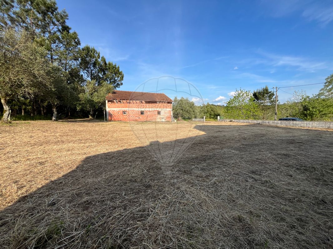 listing 122591142-117 picture-0