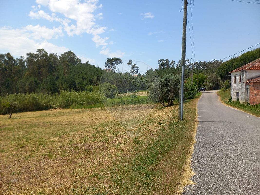 Terreno para venda