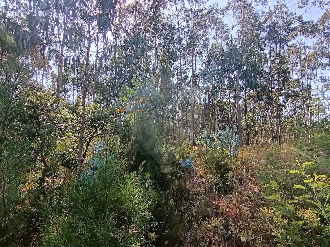 TODO