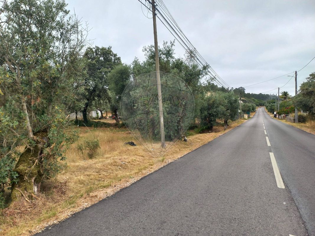 Terreno  para venda