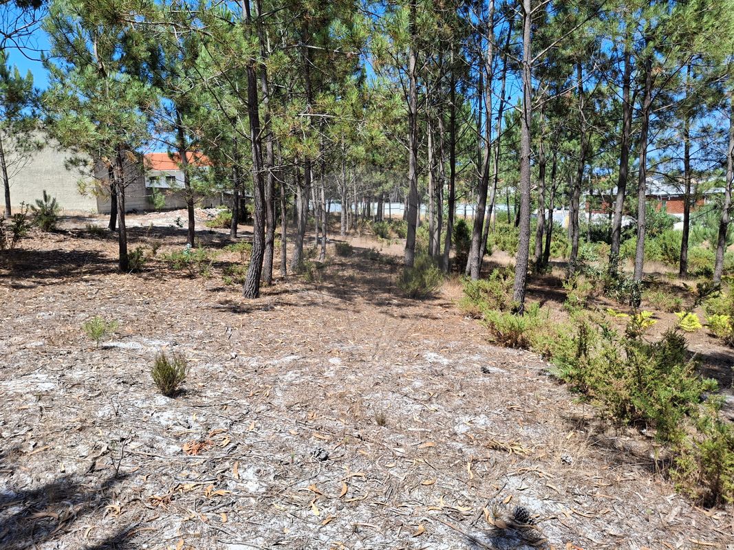 Terreno  para venda