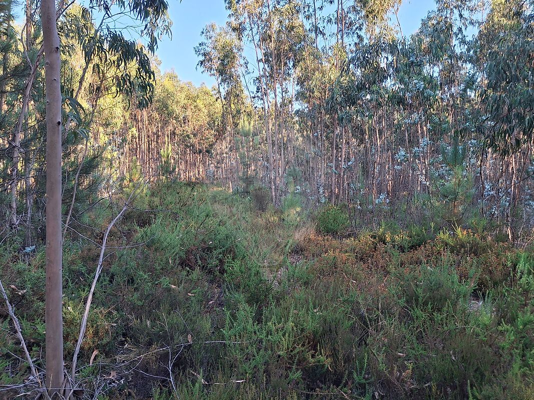 Terreno para venda