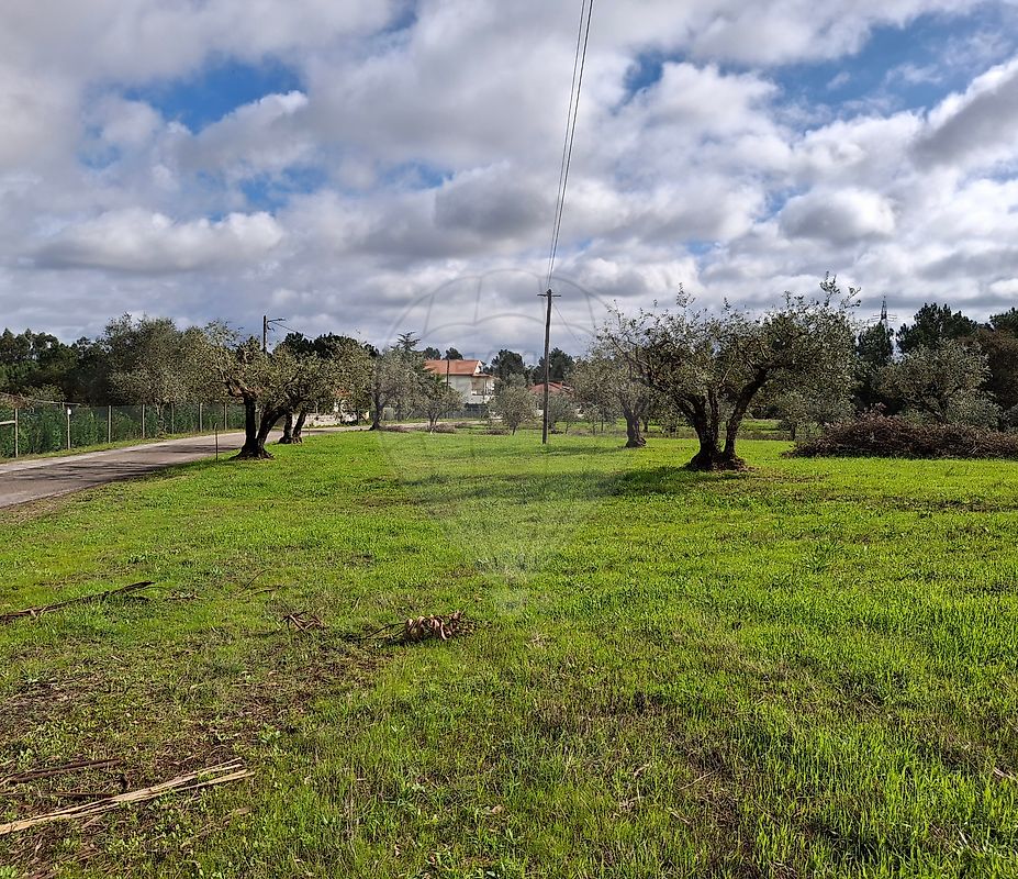 Terreno à venda em Pombal