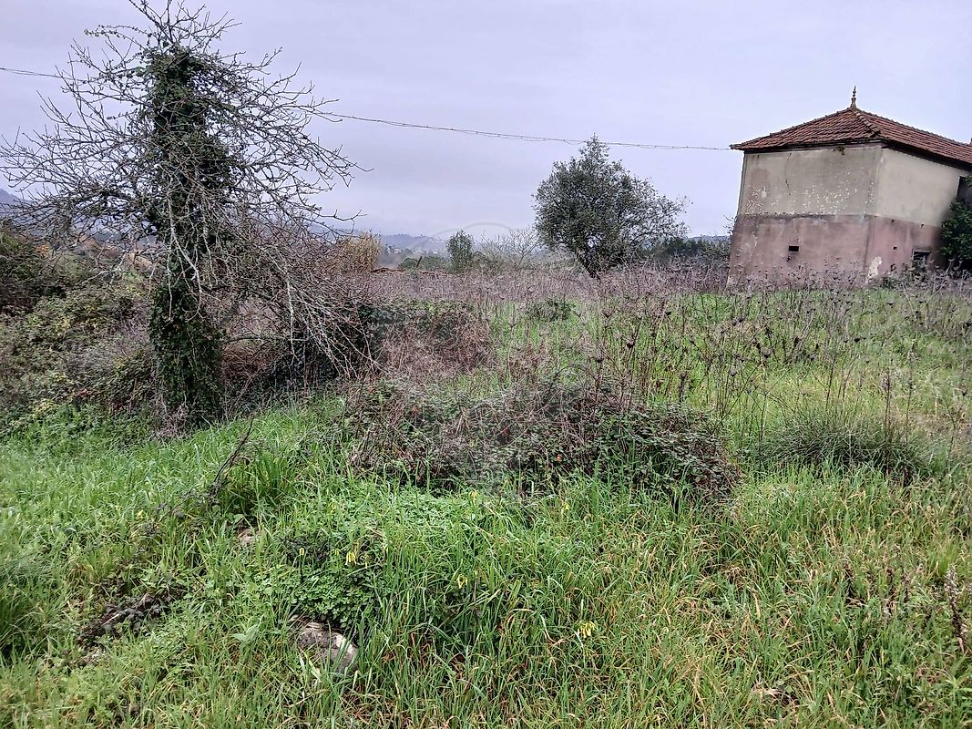 Terreno - Santiago e São Simão de Litém e Albergaria dos Doze, Pombal, Leiria