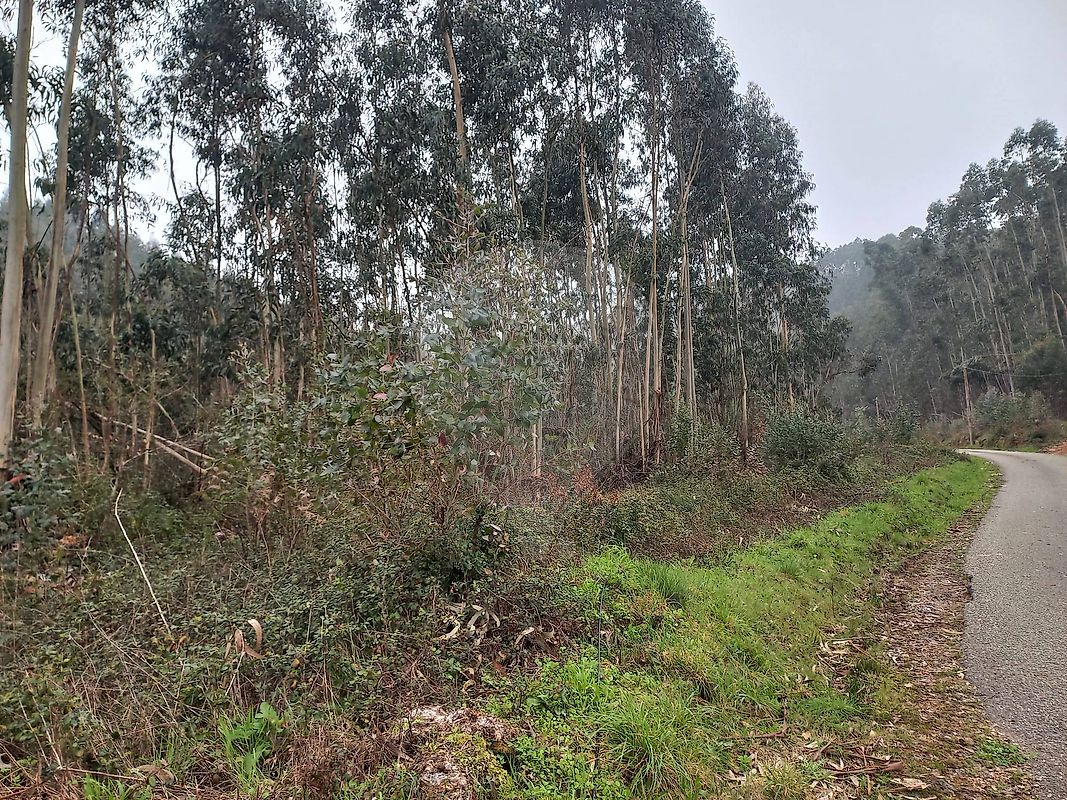 Terreno à venda em Alvaiázere