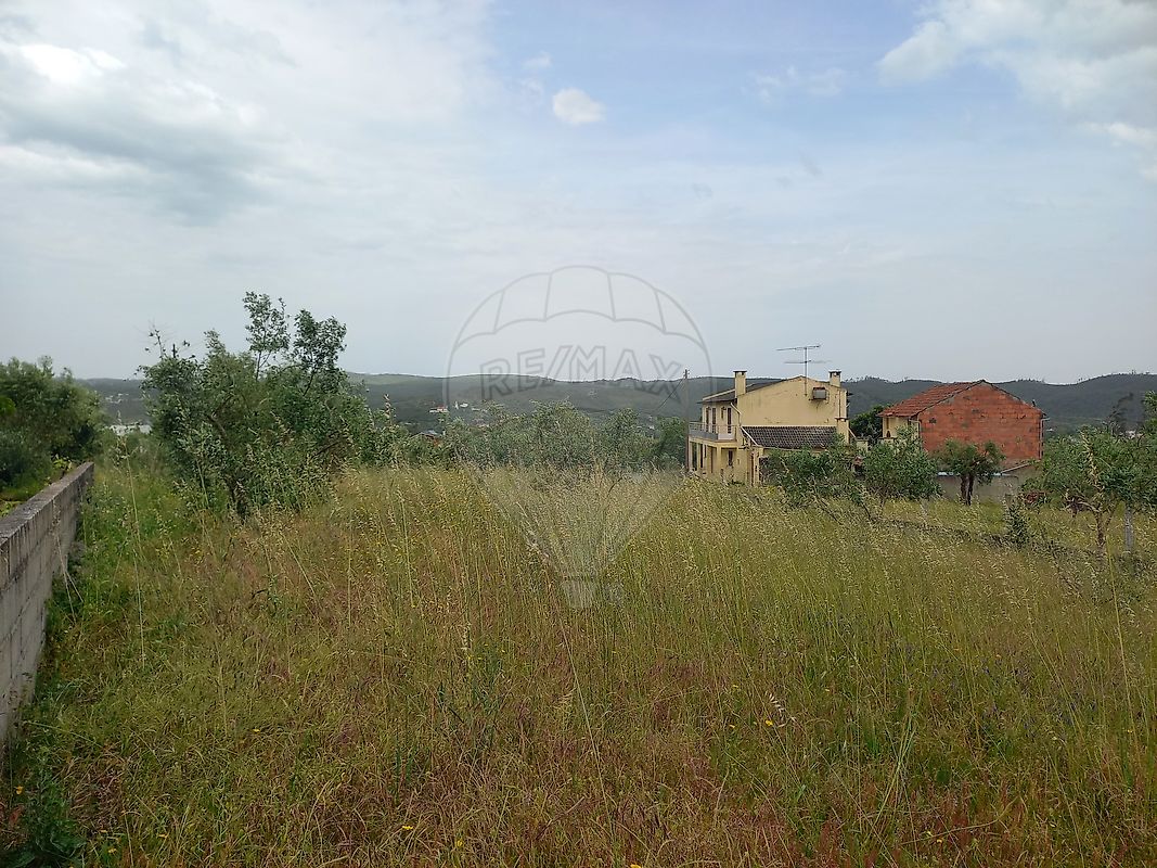 Terreno - Freixianda, Ribeira do Fárrio e Formigais, Ourém, Santarém