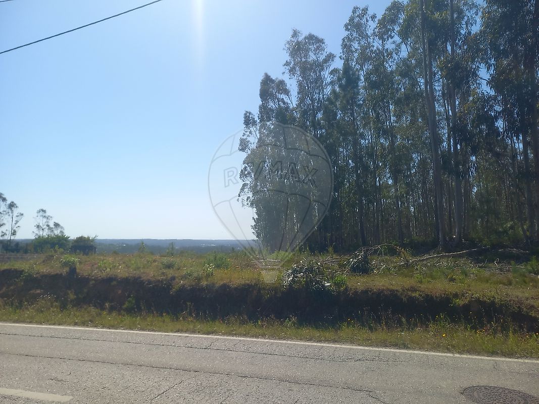 Terreno - Almagreira, Pombal, Leiria