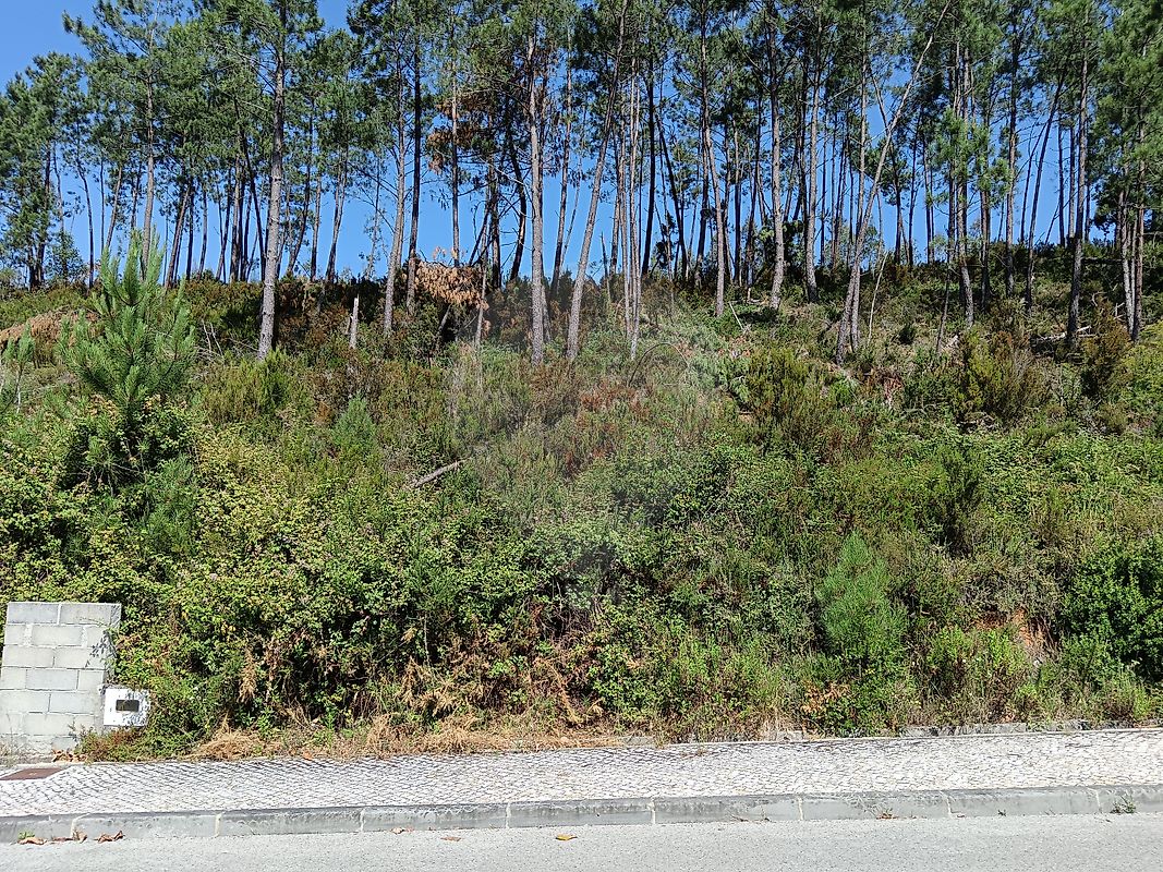 Terreno à venda em Pombal
