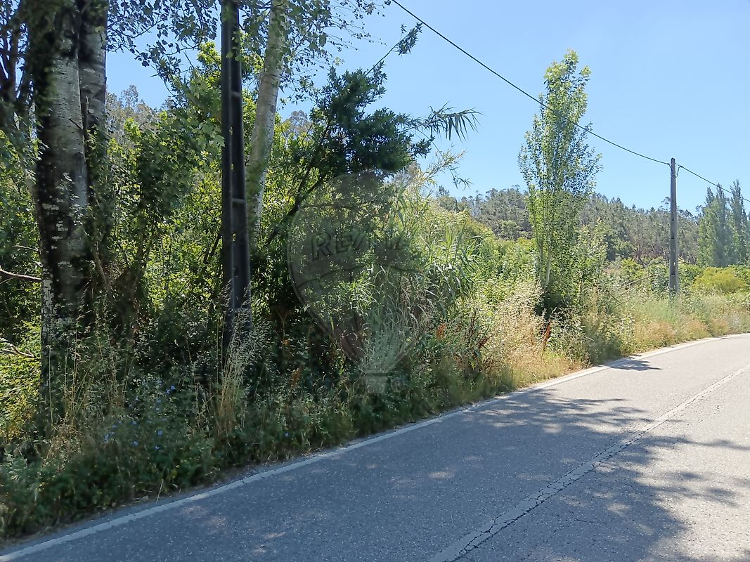 Terreno - Santiago e São Simão de Litém e Albergaria dos Doze, Pombal, Leiria