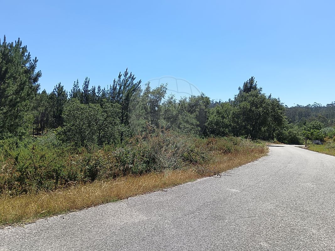 Terreno - Santiago e São Simão de Litém e Albergaria dos Doze, Pombal, Leiria